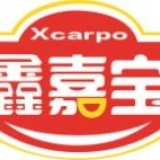 重庆鑫佳宝食品有限公司 logo