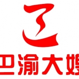 重庆巴渝大嫂家政服务有限公司 logo