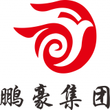 重庆鹏豪网络科技有限公司 logo