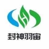 重庆封神羽宙科技有限公司 logo