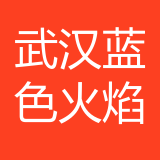 武汉蓝色火焰互娱网络科技有限公司重庆分公司 logo