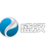 重庆盛汉科技有限公司 logo