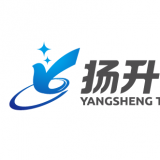 重庆扬升科技集团有限公司 logo