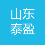 山东泰盈科技有限公司 logo