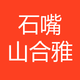 石嘴山市合雅网络科技有限公司重庆分公司 logo