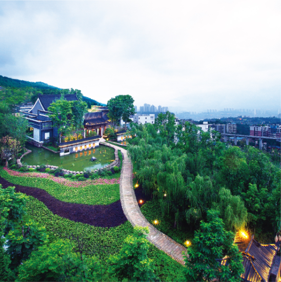 重庆天景物业服务有限公司 环境照片活动图片