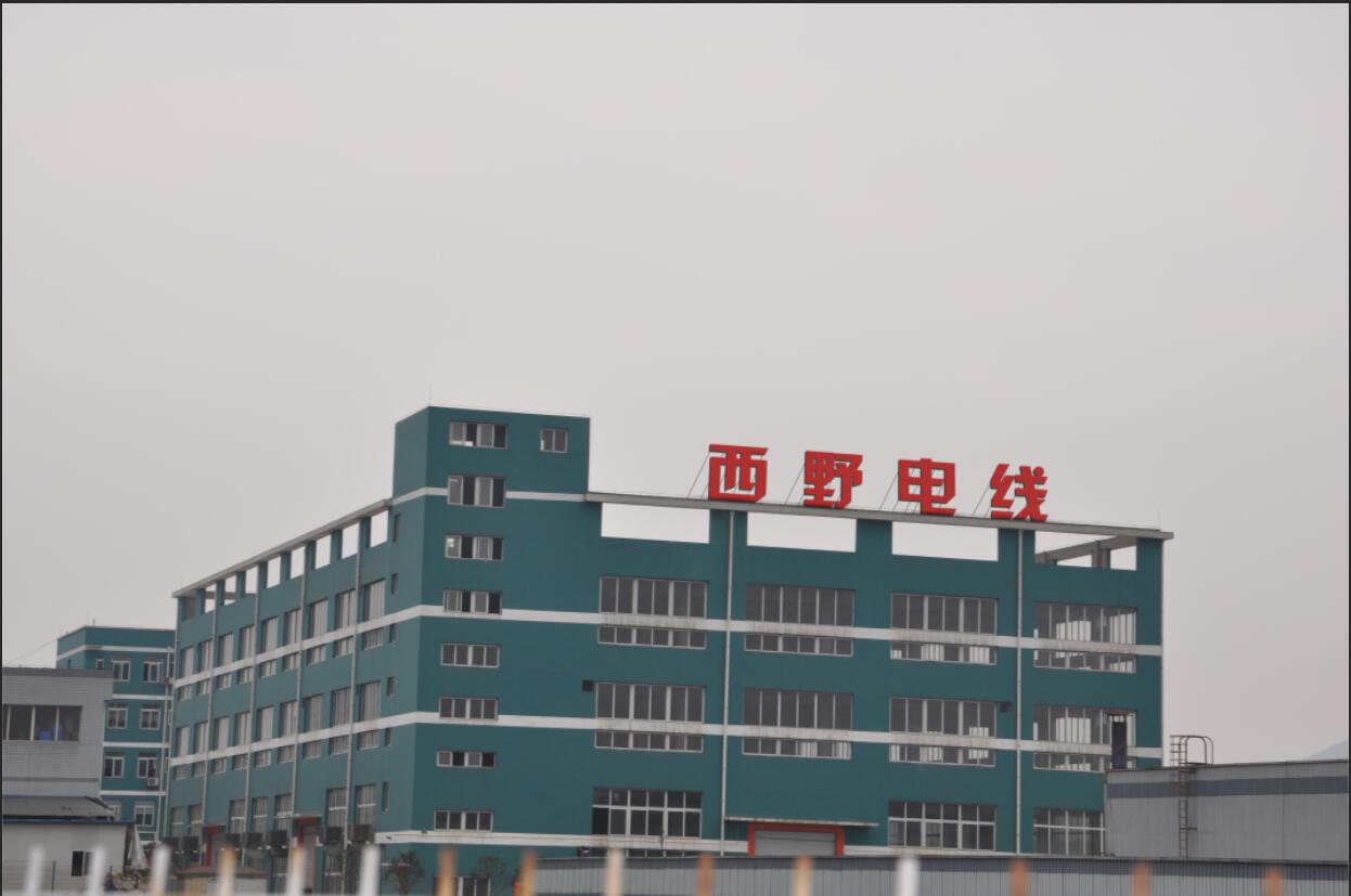 重庆西野电器制造有限公司 环境照片活动图片