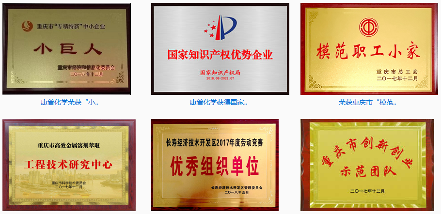 重庆康普化学工业股份有限公司 环境照片活动图片