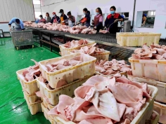 重庆三欣冷冻食品有限公司 环境照片活动图片