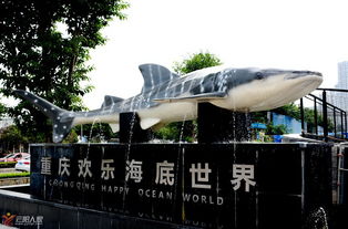 重庆欢乐海底世界旅游发展有限公司 环境照片活动图片
