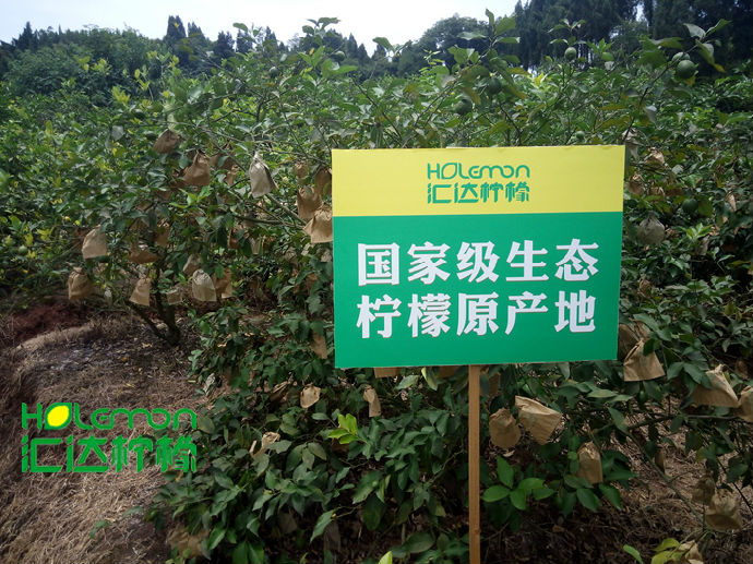 重庆汇达柠檬科技集团有限公司 环境照片活动图片