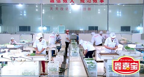 重庆鑫佳宝食品有限公司 环境照片活动图片