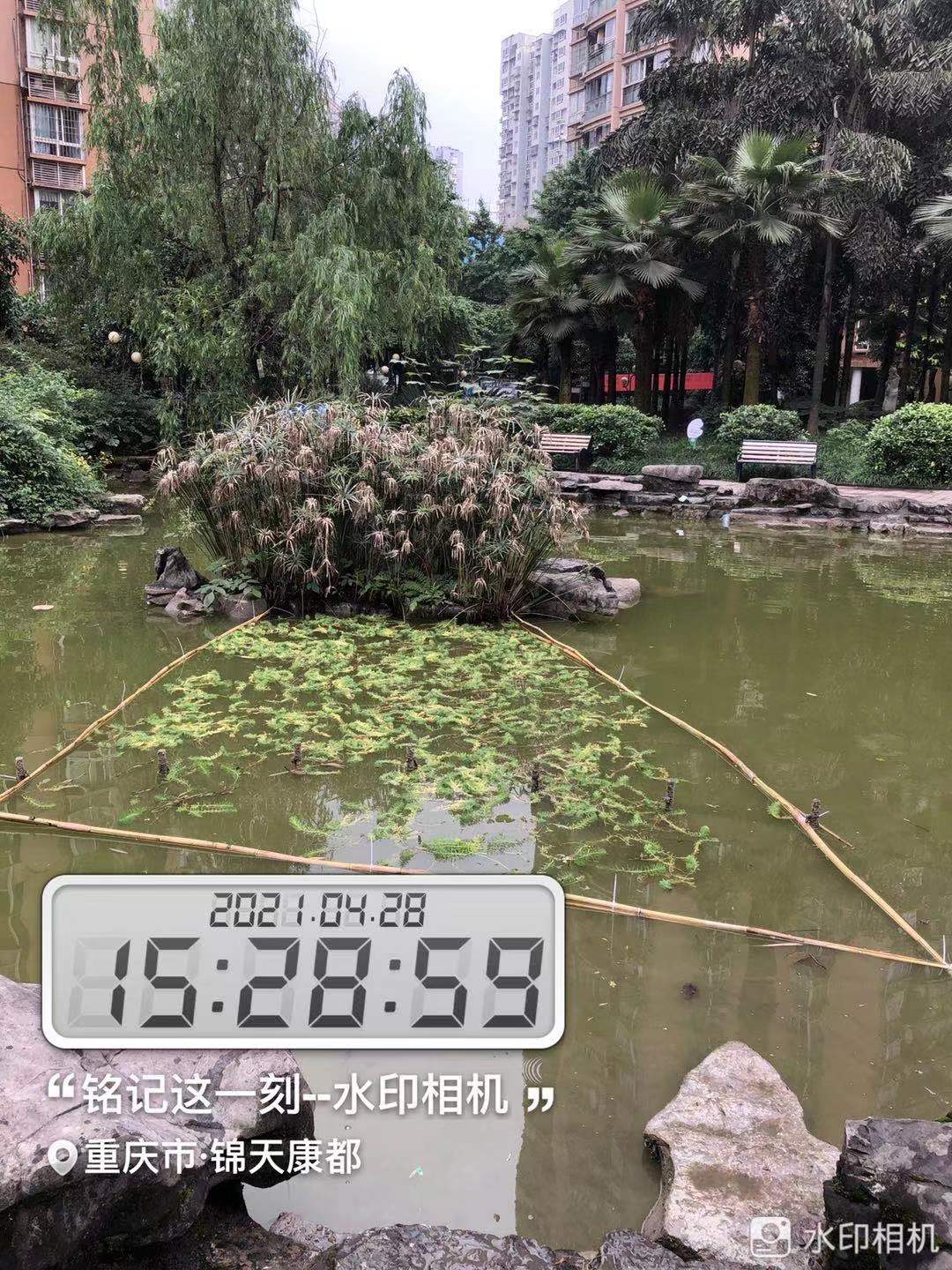 重庆市锦天物业管理有限公司 环境照片活动图片