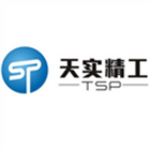 重庆市天实精工科技有限公司 logo