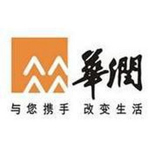 华润置地（成都）物业有限公司重庆分公司 logo