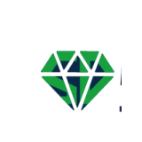 重庆盛钿实业有限公司 logo