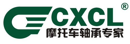 重庆市新超力轴承有限公司 logo