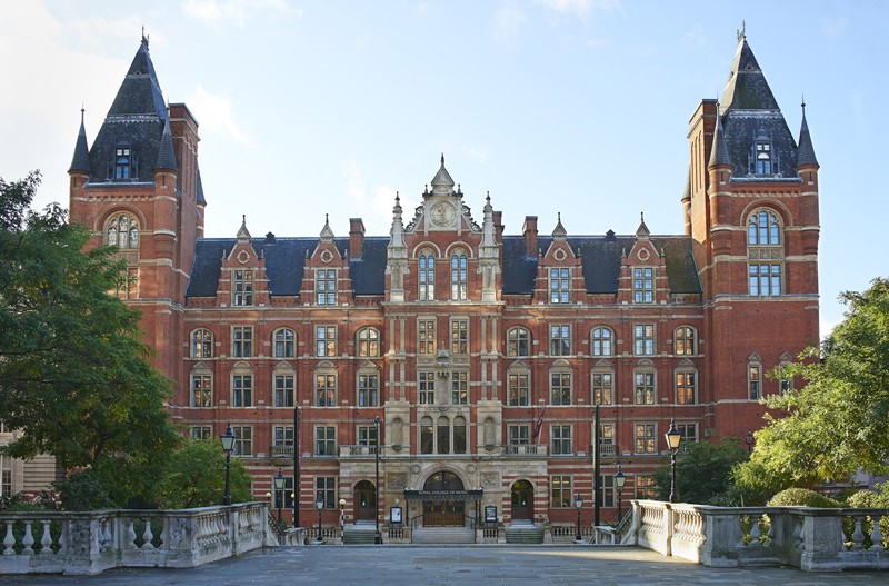 首席猫艺术教育招聘