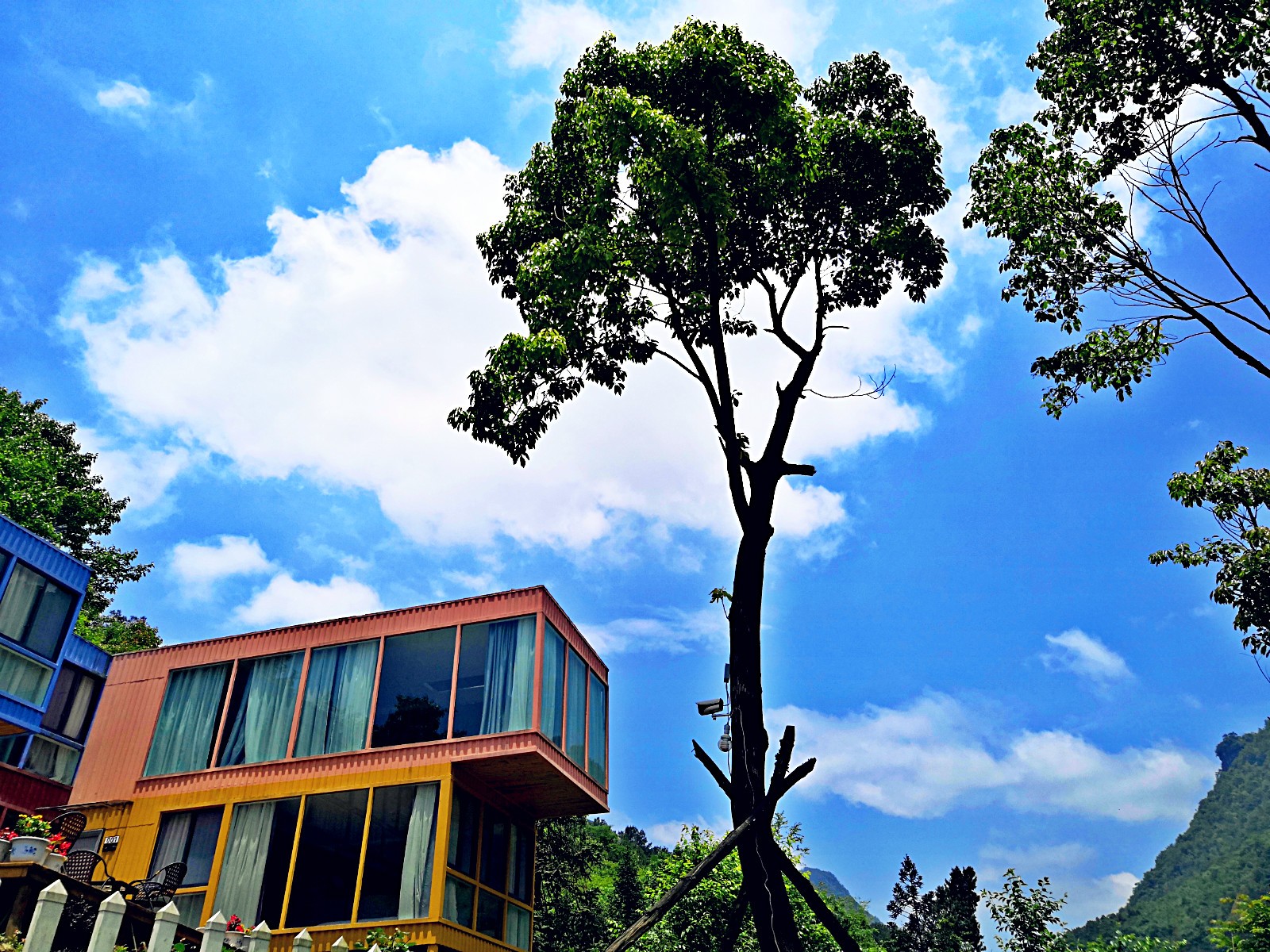 万花谷生态旅游招聘